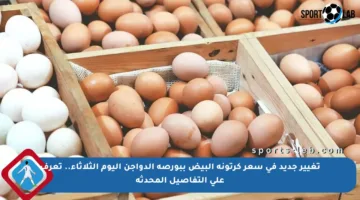 تغيير جديد في سعر كرتونة البيض ببورصة الدواجن اليوم الثلاثاء.. تعرف على التفاصيل المحدثة